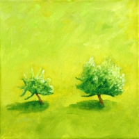 25 x 25 cm